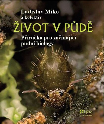 Život v půde